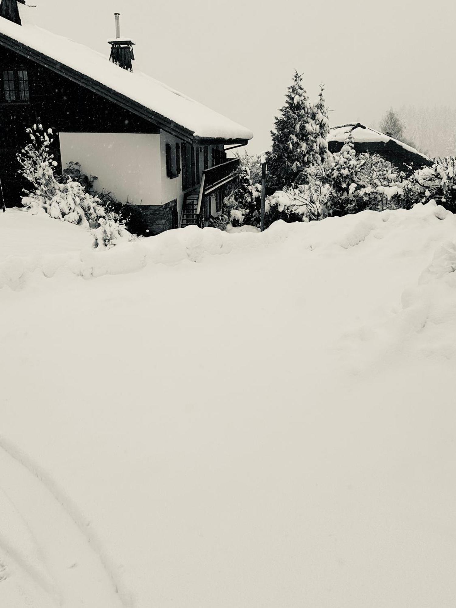 Chalet A Megeve-Vauvray - Grands Appartements , Vue Mont Blanc Demi-Quartier Екстер'єр фото